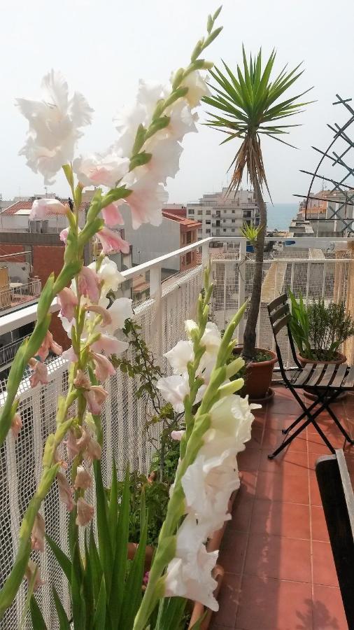 Apartamento Mediterraneo Pineda de Mar Exteriér fotografie