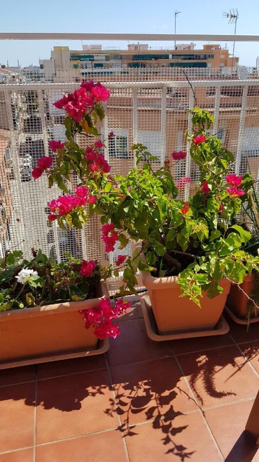 Apartamento Mediterraneo Pineda de Mar Exteriér fotografie